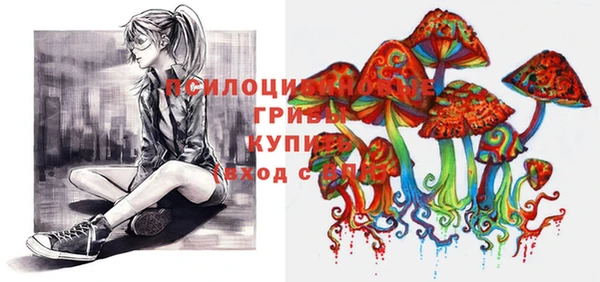 дурь Балахна